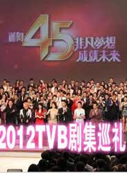 2012TVB缯Ѳ